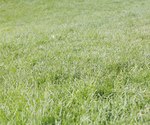 Similar image 1500055