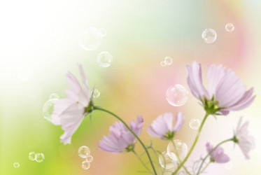 Similar image 1500072