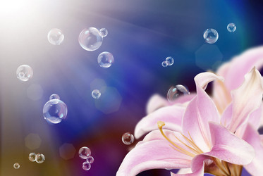 Similar image 1500073