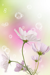 Similar image 1500077