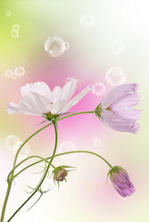 Similar image 1500078