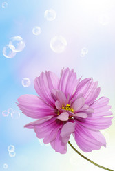 Similar image 1500082