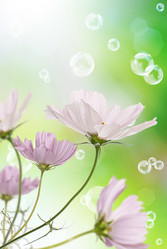 Similar image 1500084