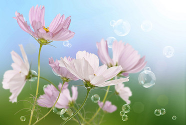 Similar image 1500087