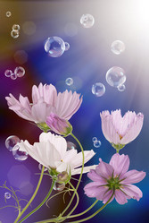 Similar image 1500088