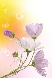 Similar image 1500089