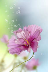 Similar image 1500090