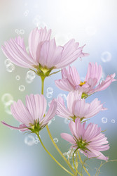 Similar image 1500091