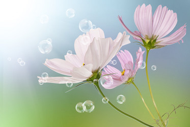 Similar image 1500094