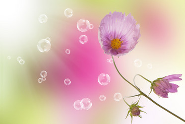 Similar image 1500096