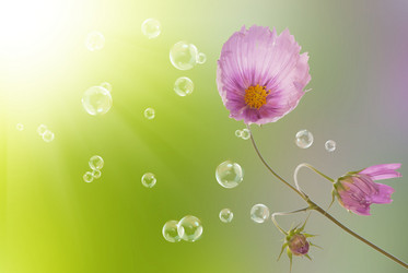 Similar image 1500098