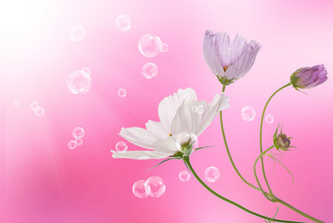 Similar image 1500104