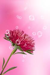 Similar image 1500108