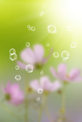 Similar image 1500110