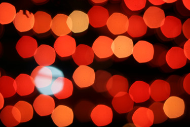 Similar image 1500115