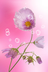 Similar image 1500116