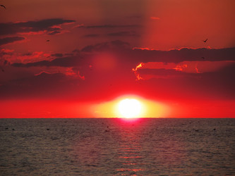 Similar image 1500117