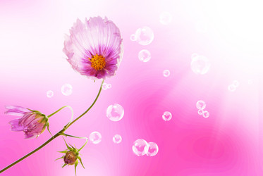 Similar image 1500120