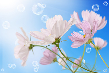 Similar image 1500131