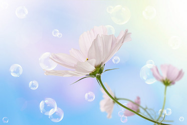 Similar image 1500132