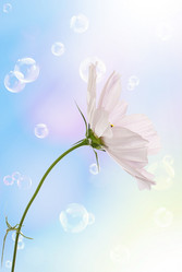 Similar image 1500133