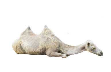 Similar image 1500137