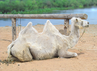 Similar image 1500138