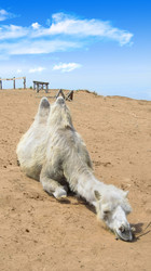 Similar image 1500139