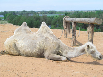 Similar image 1500140