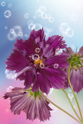 Similar image 1500152