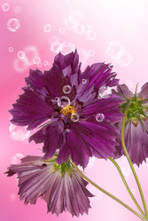 Similar image 1500153