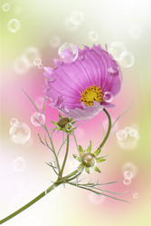 Similar image 1500154