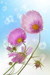 Similar image 1500156