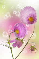 Similar image 1500158