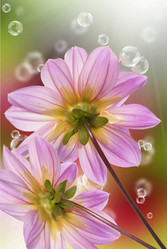 Similar image 1500160