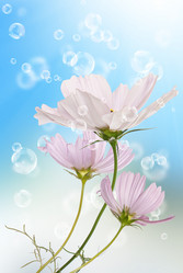 Similar image 1500166