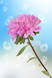 Similar image 1500168