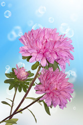 Similar image 1500169