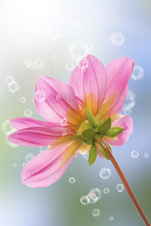 Similar image 1500170