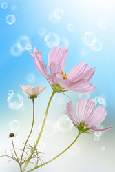 Similar image 1500172