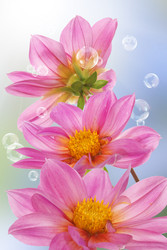 Similar image 1500171