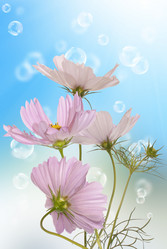 Similar image 1500174