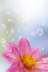 Similar image 1500173