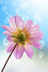 Similar image 1500175