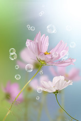 Similar image 1500176