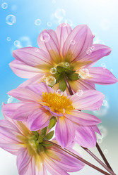 Similar image 1500177