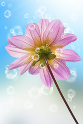 Similar image 1500179