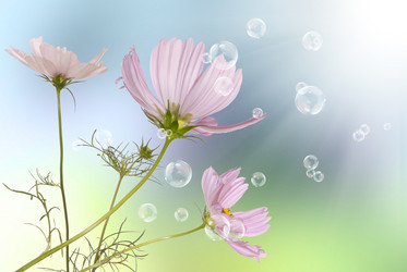 Similar image 1500180