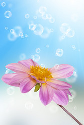 Similar image 1500181