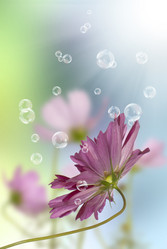 Similar image 1500185